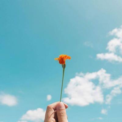 凯时ag旗舰厅截图