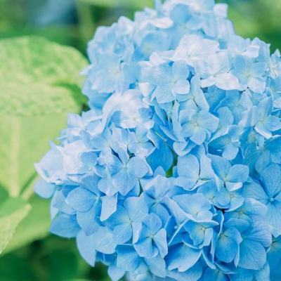 乐宝体育官网登录入口app下载